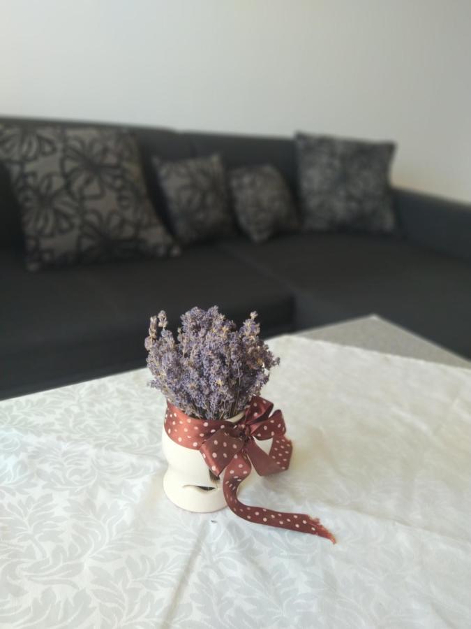 Sweet Appartman Apartment